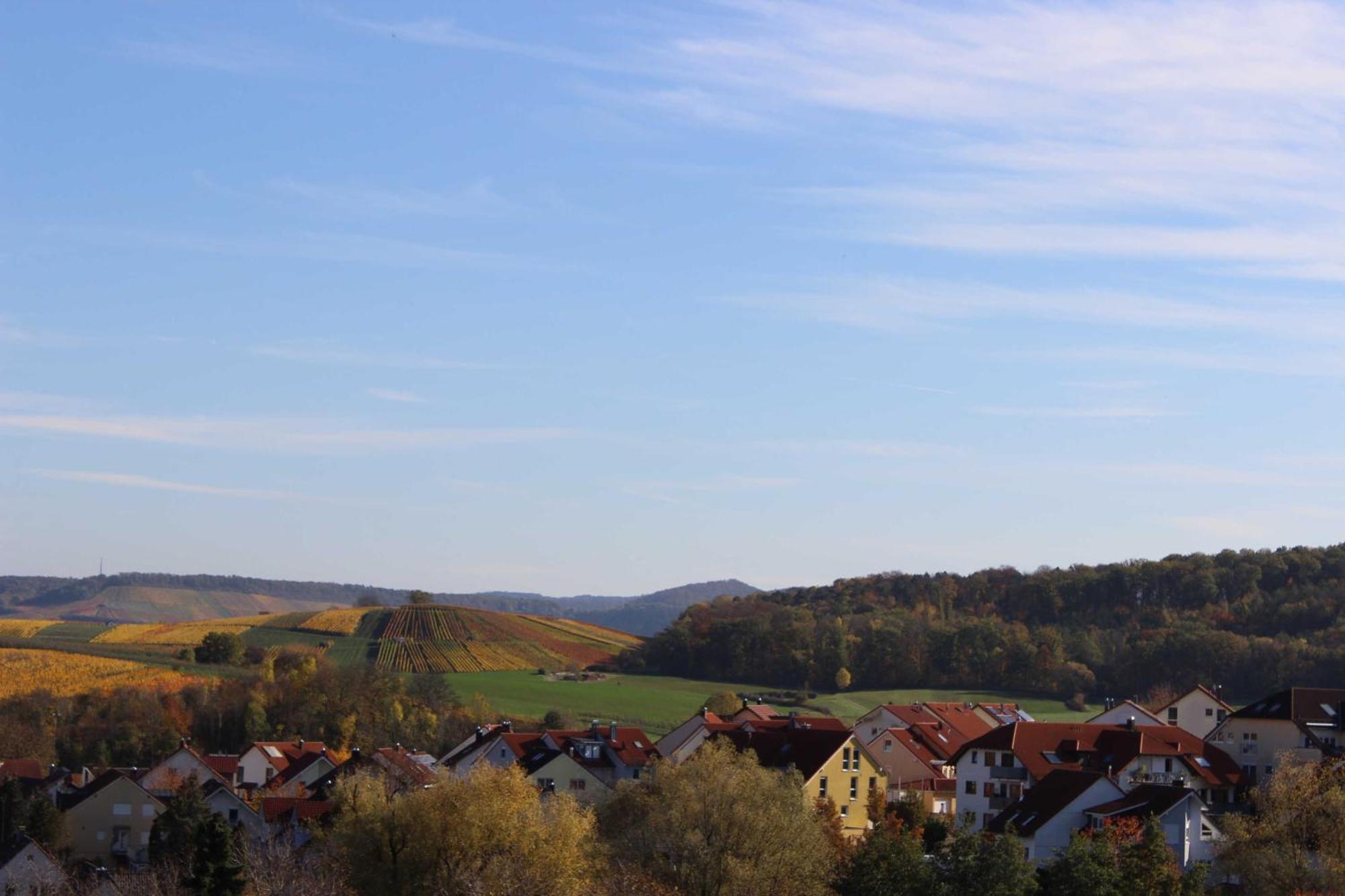 Gaestehaus Zum Wolffenturm Lehrensteinsfeld Chambre photo