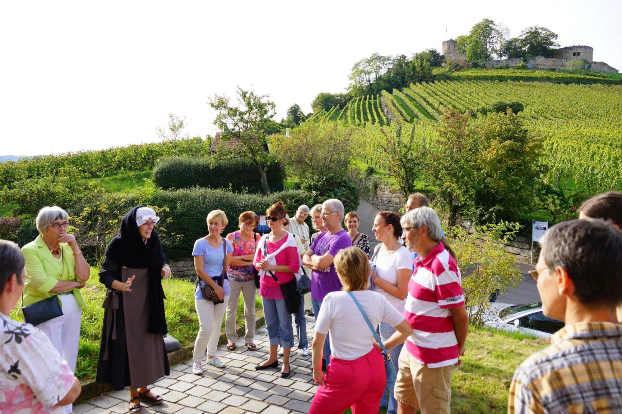 Gaestehaus Zum Wolffenturm Lehrensteinsfeld Extérieur photo