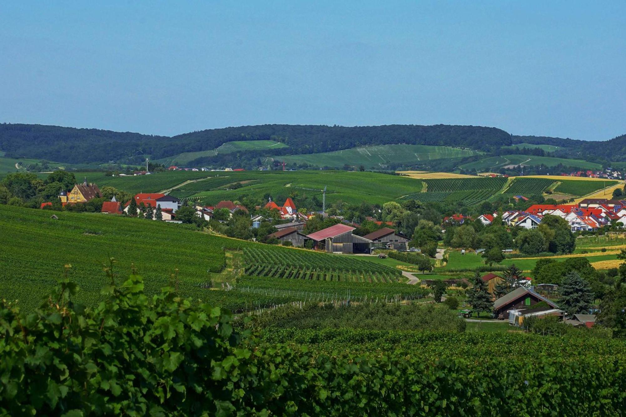 Gaestehaus Zum Wolffenturm Lehrensteinsfeld Extérieur photo