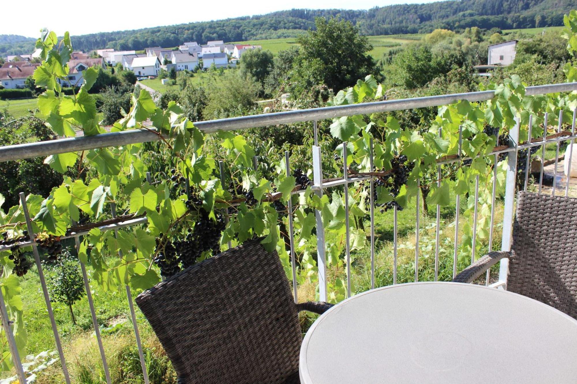 Gaestehaus Zum Wolffenturm Lehrensteinsfeld Extérieur photo